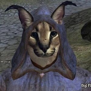 Meet your Posher, Bryson